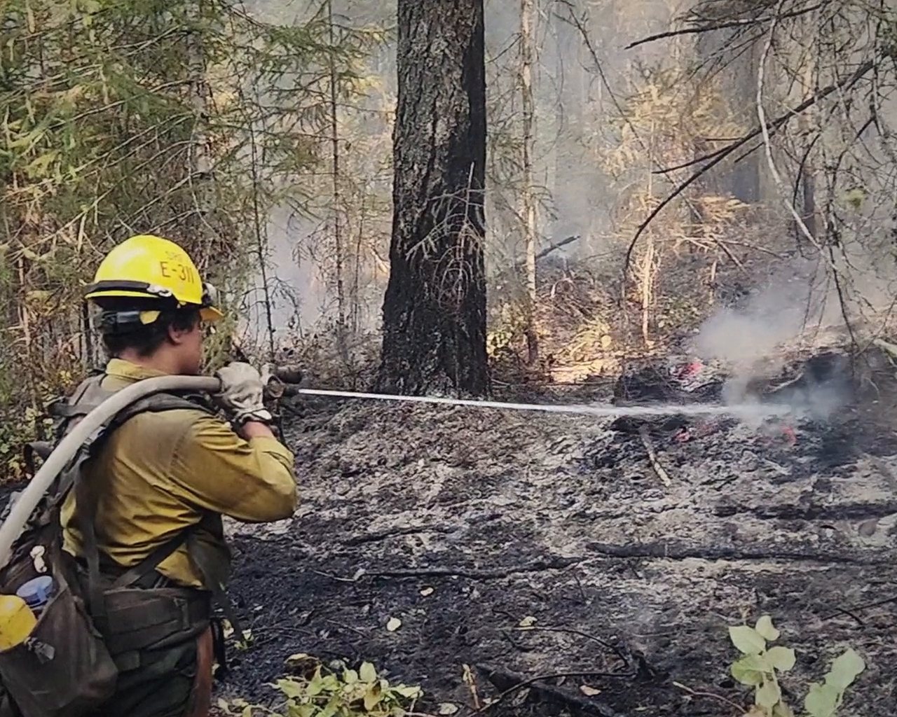 A wildland firefighter spraying a hose on a smoking burn area