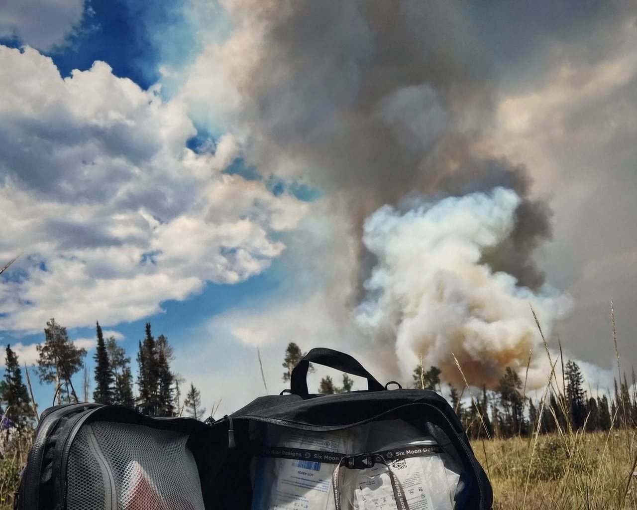 Smoke column behind trees, a pack in the foreground